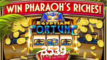 Flash Promotion 3539